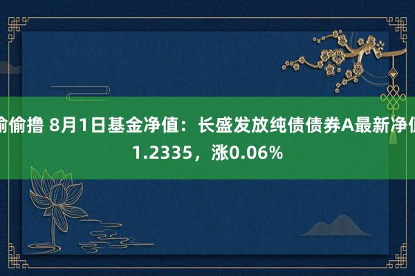 偷偷撸 8月1日基金净值：长盛发放纯债债券A最新净值1.2335，涨0.06%