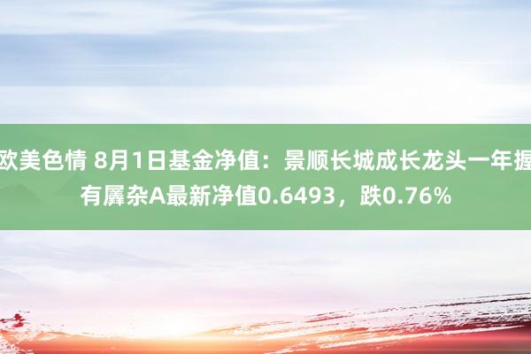 欧美色情 8月1日基金净值：景顺长城成长龙头一年握有羼杂A最新净值0.6493，跌0.76%