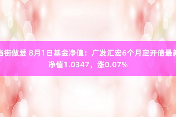 当街做爱 8月1日基金净值：广发汇宏6个月定开债最新净值1.0347，涨0.07%