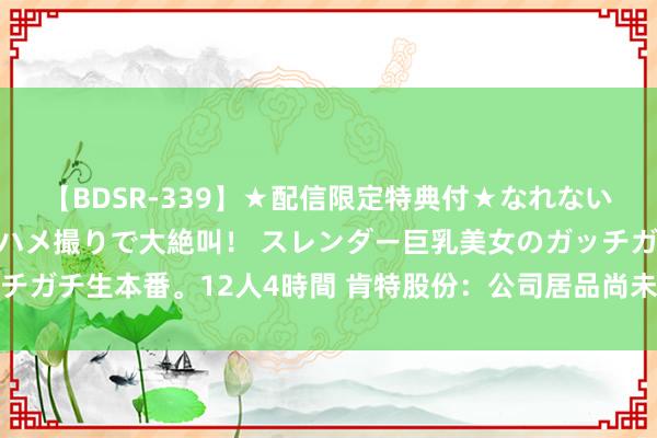 【BDSR-339】★配信限定特典付★なれない感じの新人ちゃんが初ハメ撮りで大絶叫！ スレンダー巨乳美女のガッチガチ生本番。12人4時間 肯特股份：公司居品尚未有生意航天相干愚弄