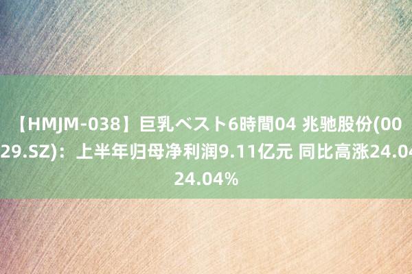 【HMJM-038】巨乳ベスト6時間04 兆驰股份(002429.SZ)：上半年归母净利润9.11亿元 同比高涨24.04%