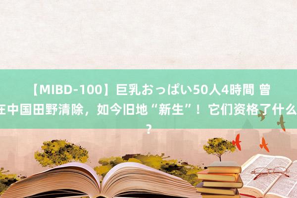 【MIBD-100】巨乳おっぱい50人4時間 曾在中国田野清除，如今旧地“新生”！它们资格了什么？