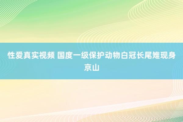 性爱真实视频 国度一级保护动物白冠长尾雉现身京山