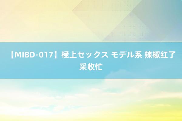 【MIBD-017】極上セックス モデル系 辣椒红了采收忙