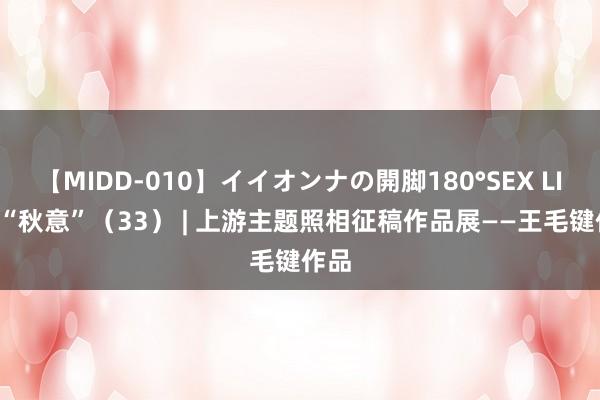 【MIDD-010】イイオンナの開脚180°SEX LISA “秋意”（33） | 上游主题照相征稿作品展——王毛键作品