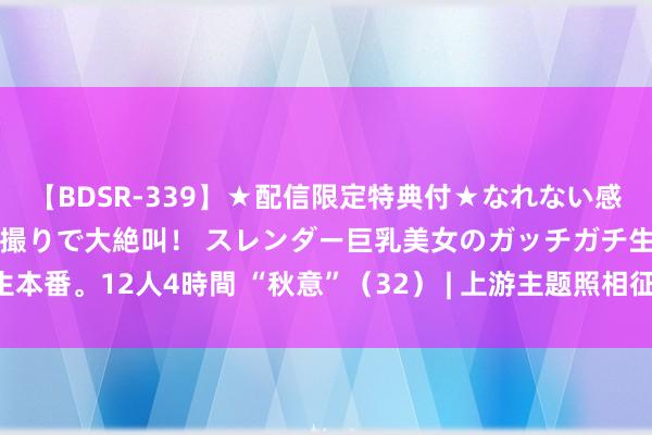 【BDSR-339】★配信限定特典付★なれない感じの新人ちゃんが初ハメ撮りで大絶叫！ スレンダー巨乳美女のガッチガチ生本番。12人4時間 “秋意”（32） | 上游主题照相征稿作品展——王军辉作品