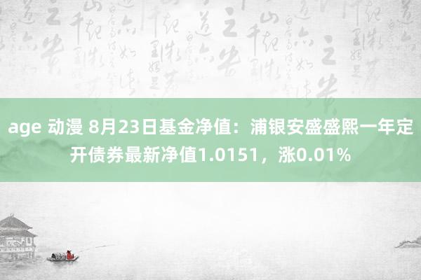 age 动漫 8月23日基金净值：浦银安盛盛熙一年定开债券最新净值1.0151，涨0.01%