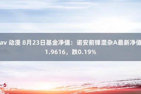 av 动漫 8月23日基金净值：诺安前锋混杂A最新净值1.9616，跌0.19%