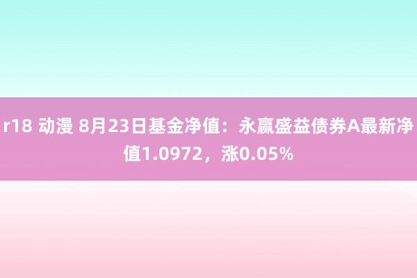 r18 动漫 8月23日基金净值：永赢盛益债券A最新净值1.0972，涨0.05%