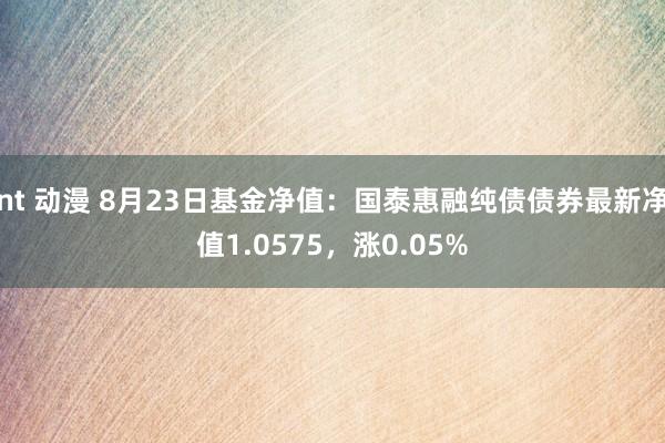 nt 动漫 8月23日基金净值：国泰惠融纯债债券最新净值1.0575，涨0.05%