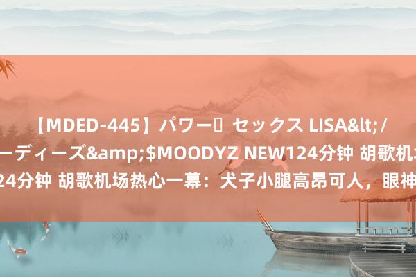 【MDED-445】パワー・セックス LISA</a>2005-08-13ムーディーズ&$MOODYZ NEW124分钟 胡歌机场热心一幕：犬子小腿高昂可人，眼神和缓溶解网友心