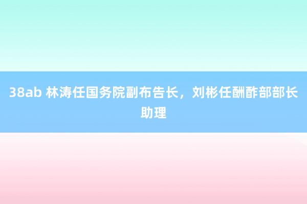 38ab 林涛任国务院副布告长，刘彬任酬酢部部长助理