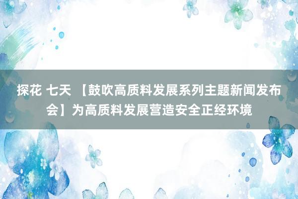 探花 七天 【鼓吹高质料发展系列主题新闻发布会】为高质料发展营造安全正经环境