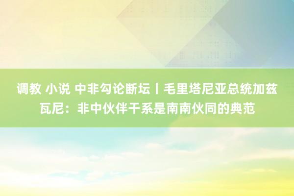 调教 小说 中非勾论断坛丨毛里塔尼亚总统加兹瓦尼：非中伙伴干系是南南伙同的典范