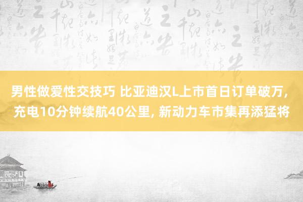 男性做爱性交技巧 比亚迪汉L上市首日订单破万, 充电10分钟续航40公里, 新动力车市集再添猛将